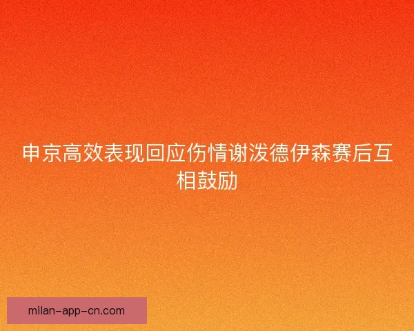 申京高效表现回应伤情谢泼德伊森赛后互相鼓励