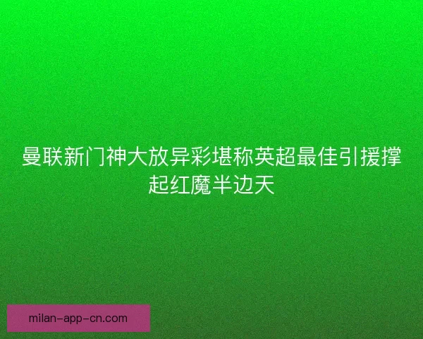 曼联新门神大放异彩堪称英超最佳引援撑起红魔半边天